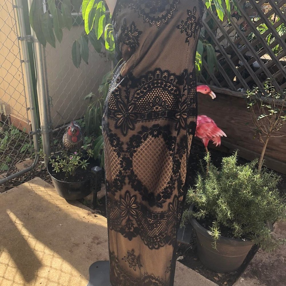 Flesh Tone  Dress with Black Lace Overlay